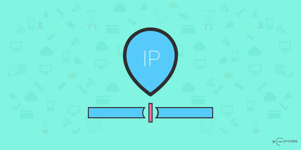 seo ranking report