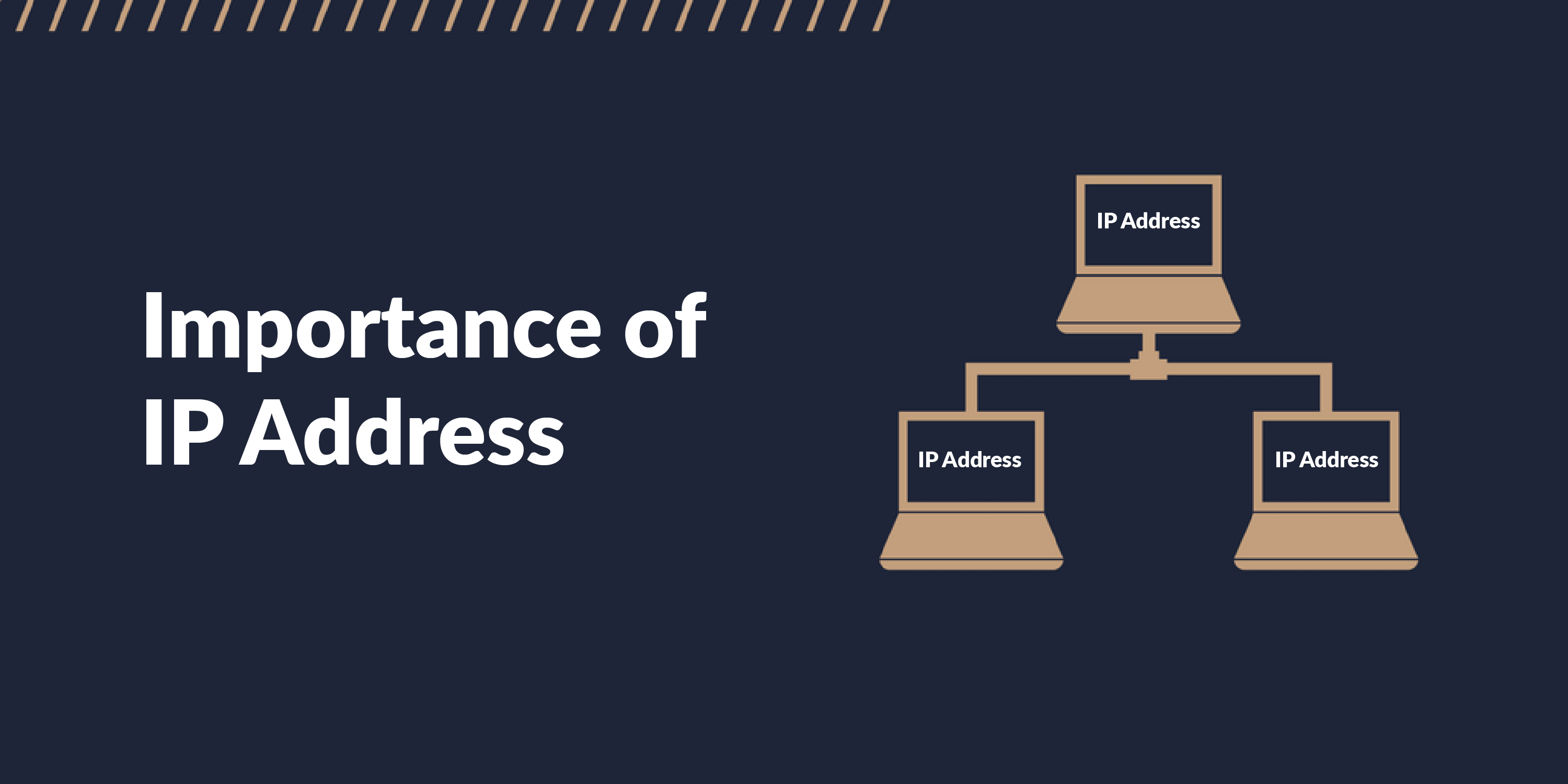 IMPORTANCE OF IP ADDRESS 